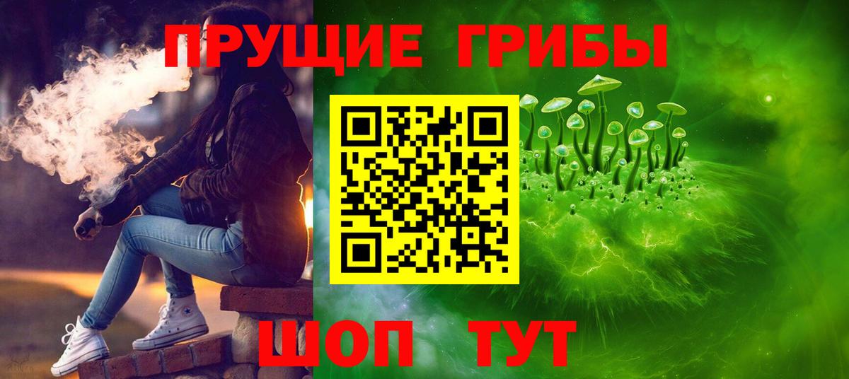 Губкинский  Псилоцибиновые грибы мицелий  Вход с VPN 